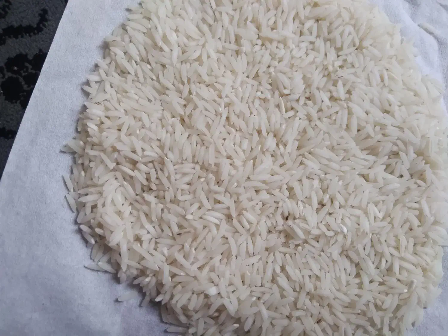 برنج طارم هاشمی(نوج) از خود کشاورز|خوردنی و آشامیدنی|بابل, |دیوار