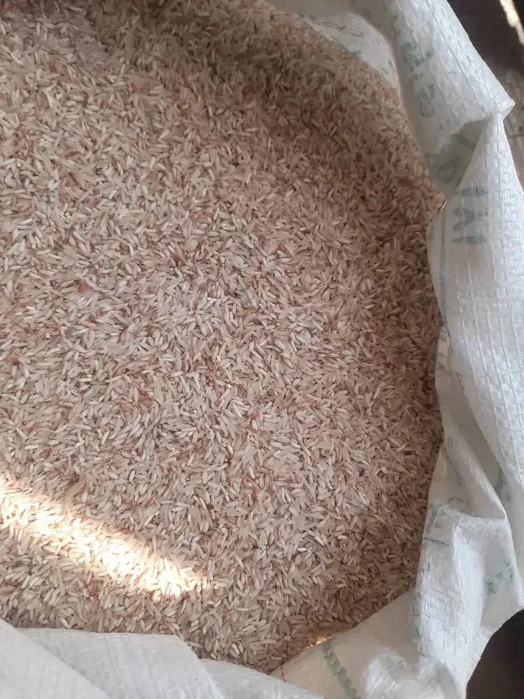 برنج فجر|خوردنی و آشامیدنی|گنبد کاووس, |دیوار