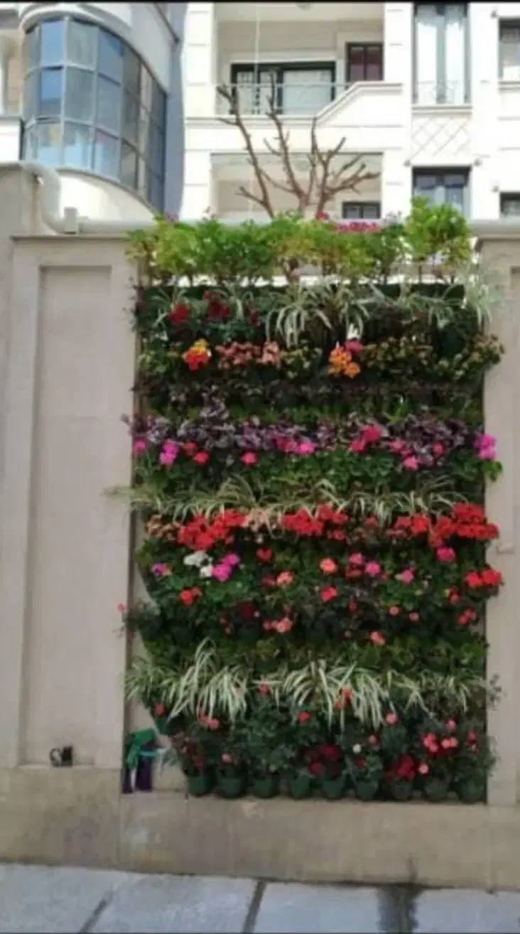 اصول نگهداری گیاهان داخلی و بیرونی|خدمات باغبانی و درختکاری|تهران, قلهک|دیوار