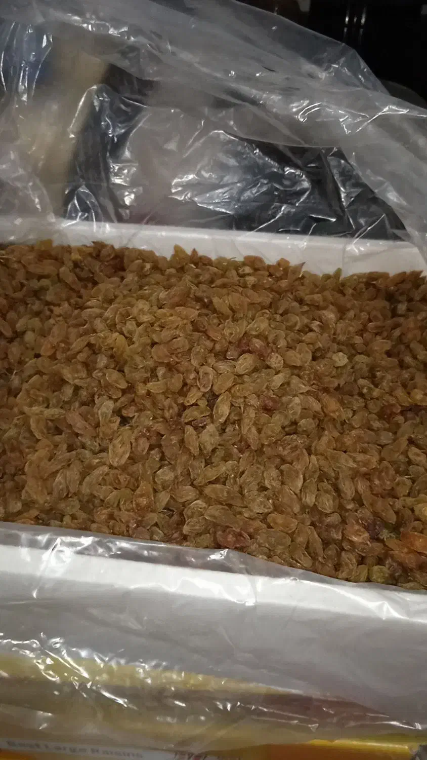 کشمش،مربا،آلوخورشی،برگه سیب|خوردنی و آشامیدنی|رباط‌کریم, شهرک والفجر|دیوار