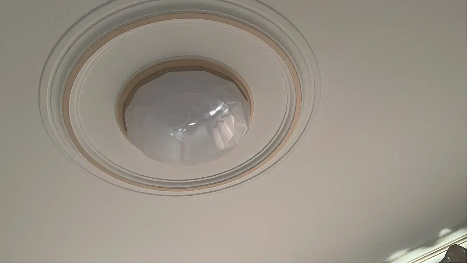 لوستر سقفی|لوستر و چراغ آویز|پردیس, فاز ۹|دیوار