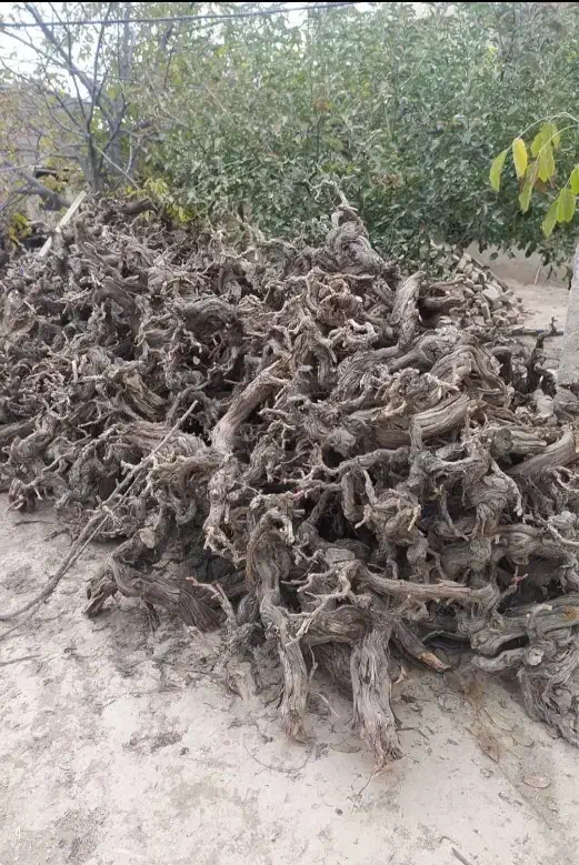 فروش کنده درخت انگور..برا هیزم و زغال|خدمات باغبانی و درختکاری|بجنورد, |دیوار