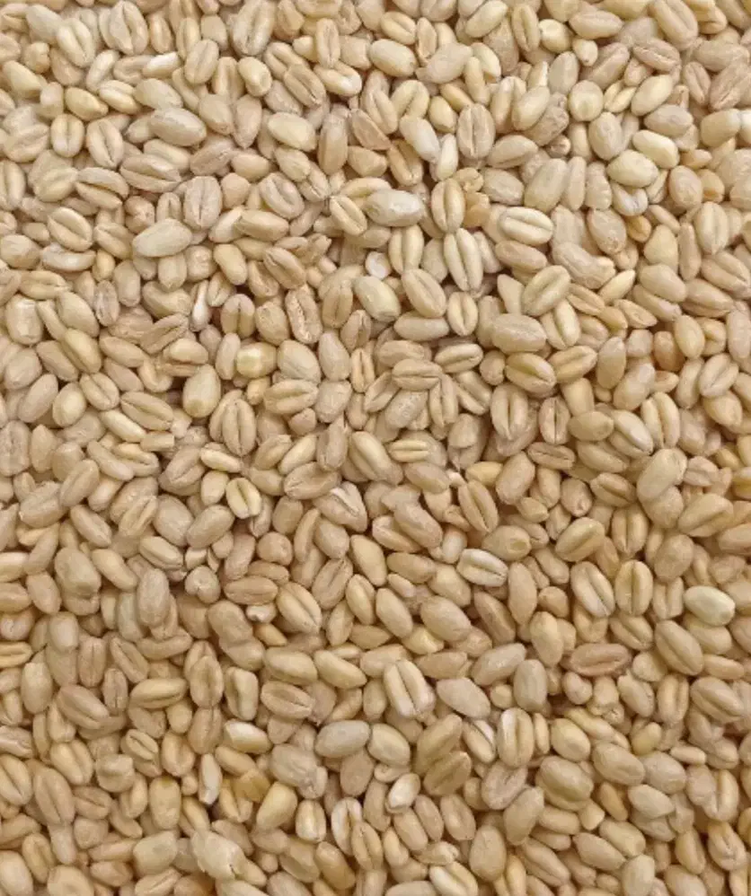 گندم و جو|کالسکه و لوازم جانبی|جوین, |دیوار