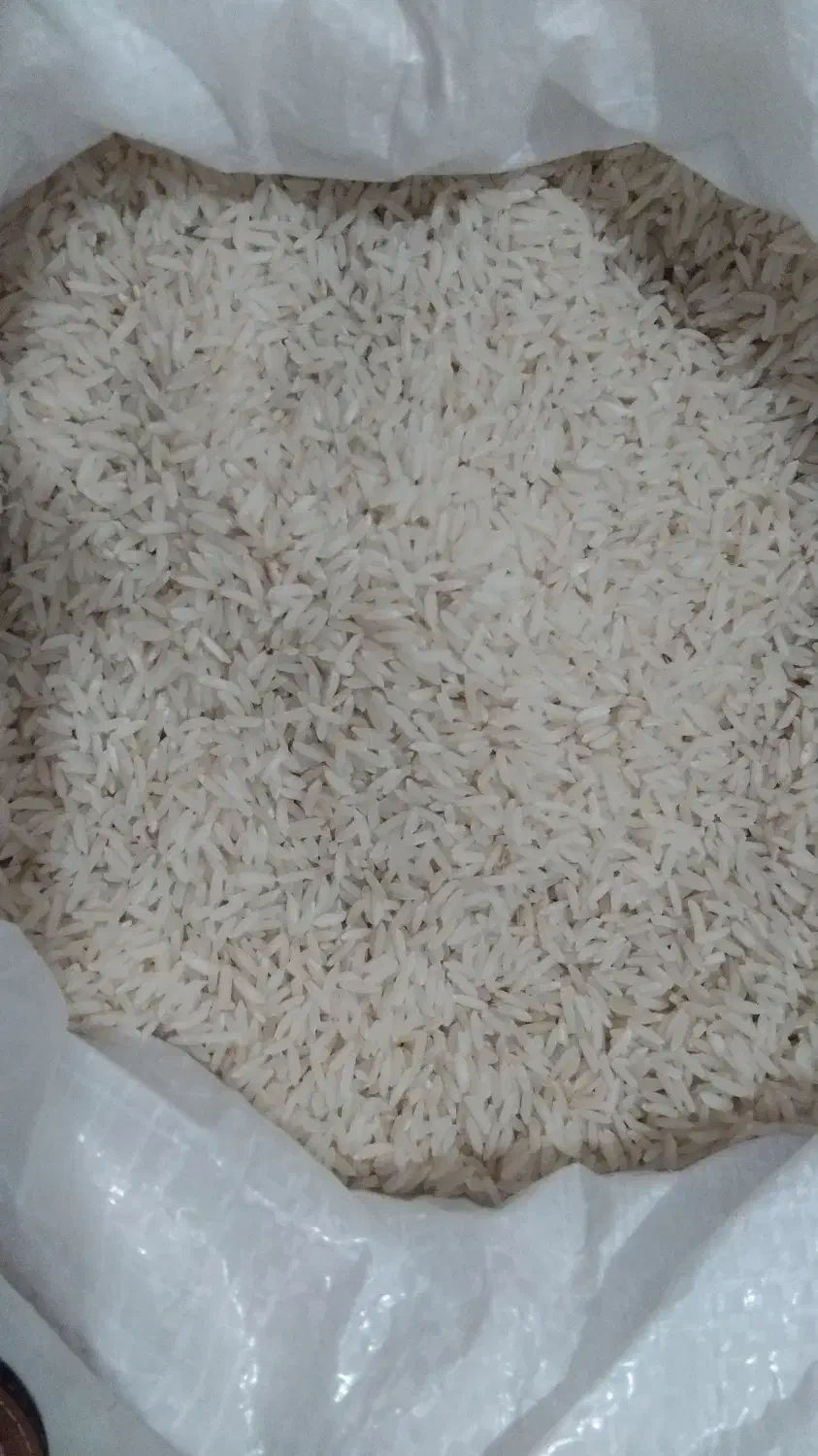 30 کیلو برنج هاشمی درجه ۱ در خشکبیجار|خوردنی و آشامیدنی|رشت, فرزانه|دیوار