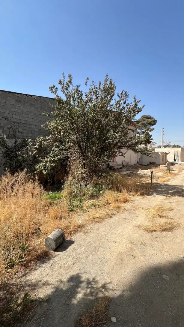 باغچه ۵۱۵متری محمد شهر خ مشرف|فروش خانه و ویلا|محمدشهر, زیبادشت|دیوار