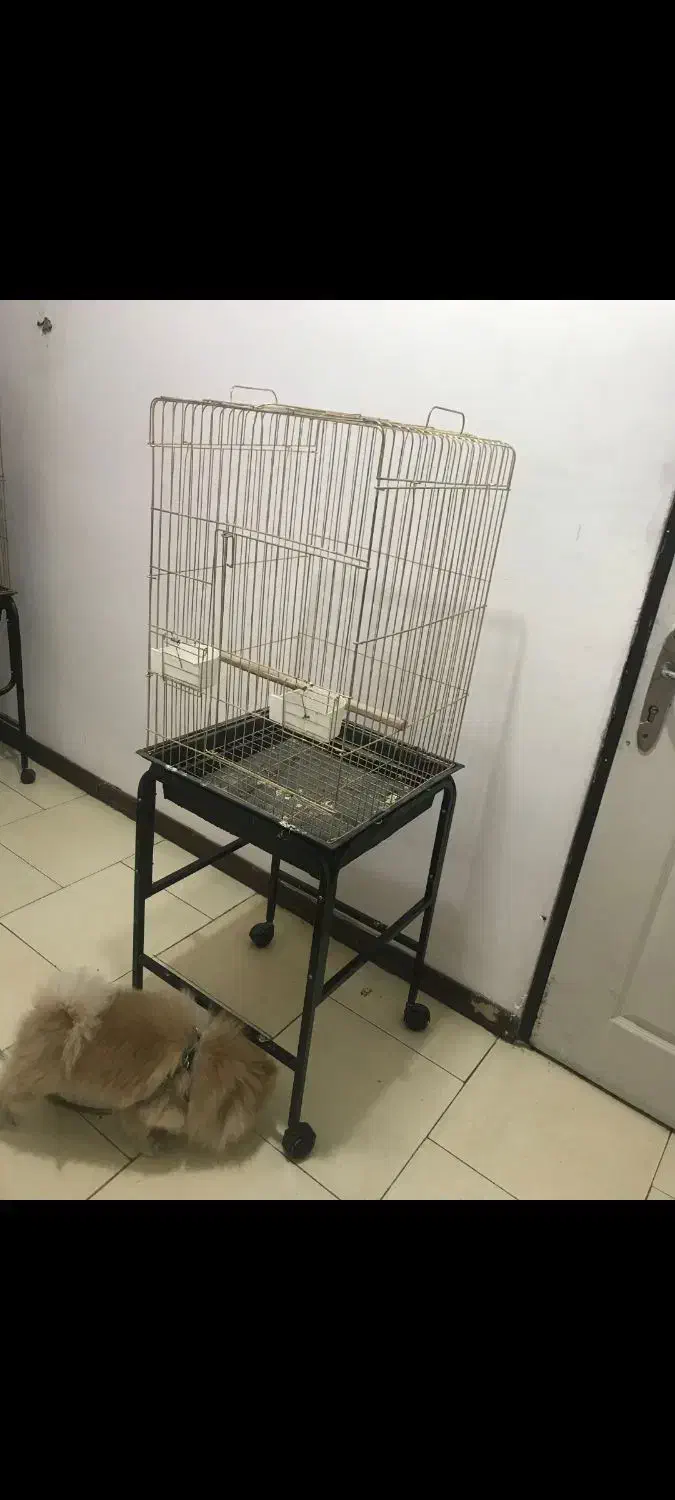 قفس پایه دار اصلا استفاده نشده در حد نو|لوازم جانبی حیوانات|گلبهار, شهر جدید گلبهار|دیوار