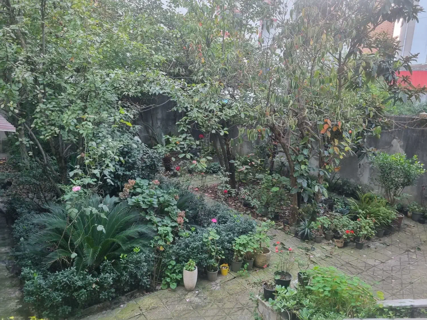 رفیق همیشگی(رهن ویلایی)|اجارهٔ خانه و ویلا|رشت, شالکو|دیوار