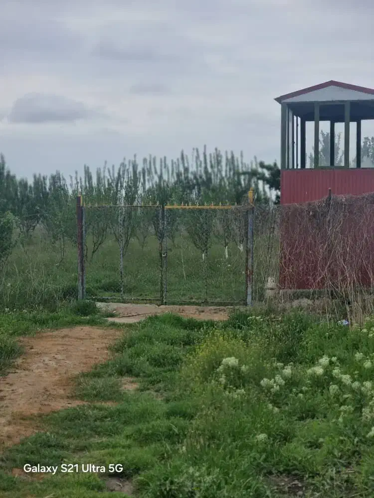 شهر اصلاندوز روستای حاجیلو|فروش زمین و ملک کلنگی|اصلاندوز, |دیوار