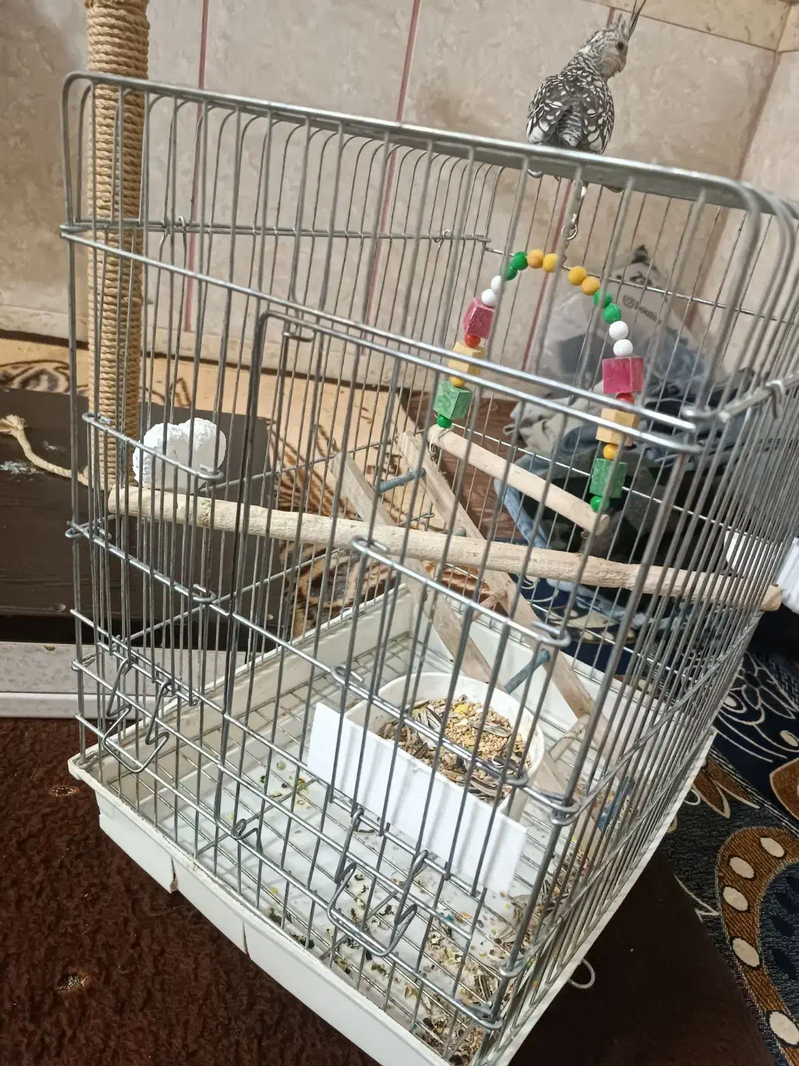 یدونه قفس با نشیمن گاه پرنده|لوازم جانبی حیوانات|بهارستان, |دیوار