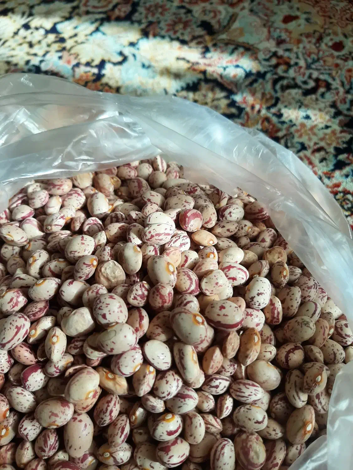 فروش لوبیا چیتی،لوبیا سفید قیمت مناسب ۳۵۰|حراج|قزوین, |دیوار