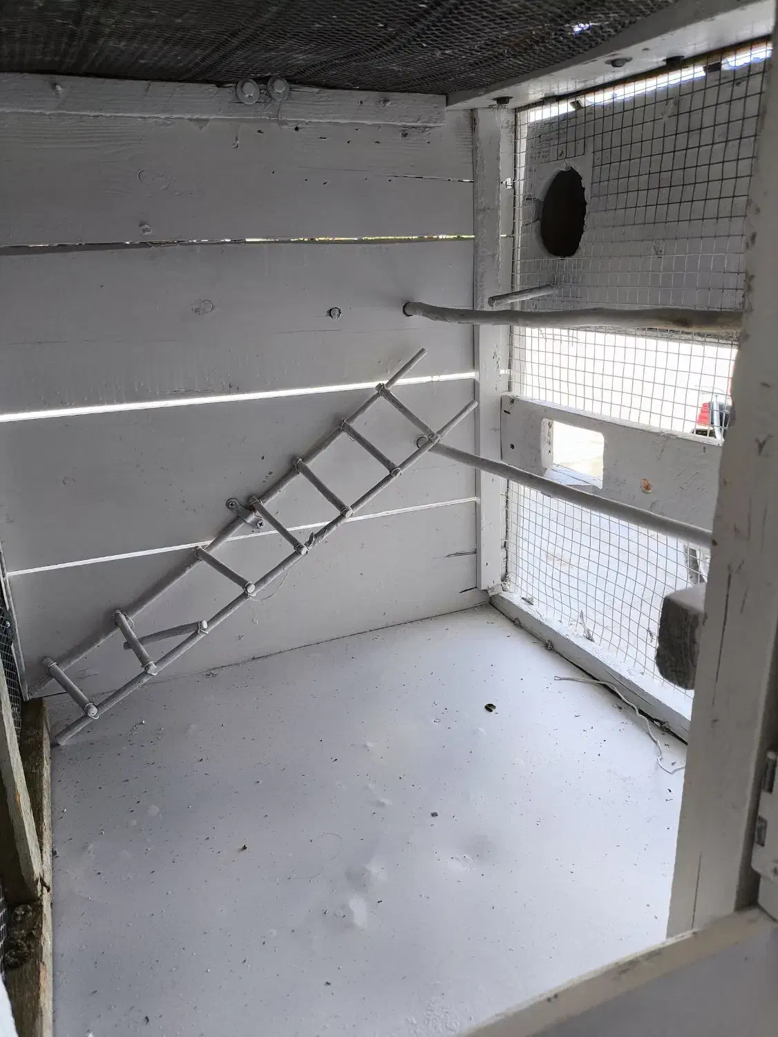 قفس خفر|لوازم جانبی حیوانات|شیراز, فرودگاه شهید دستغیب شیراز|دیوار