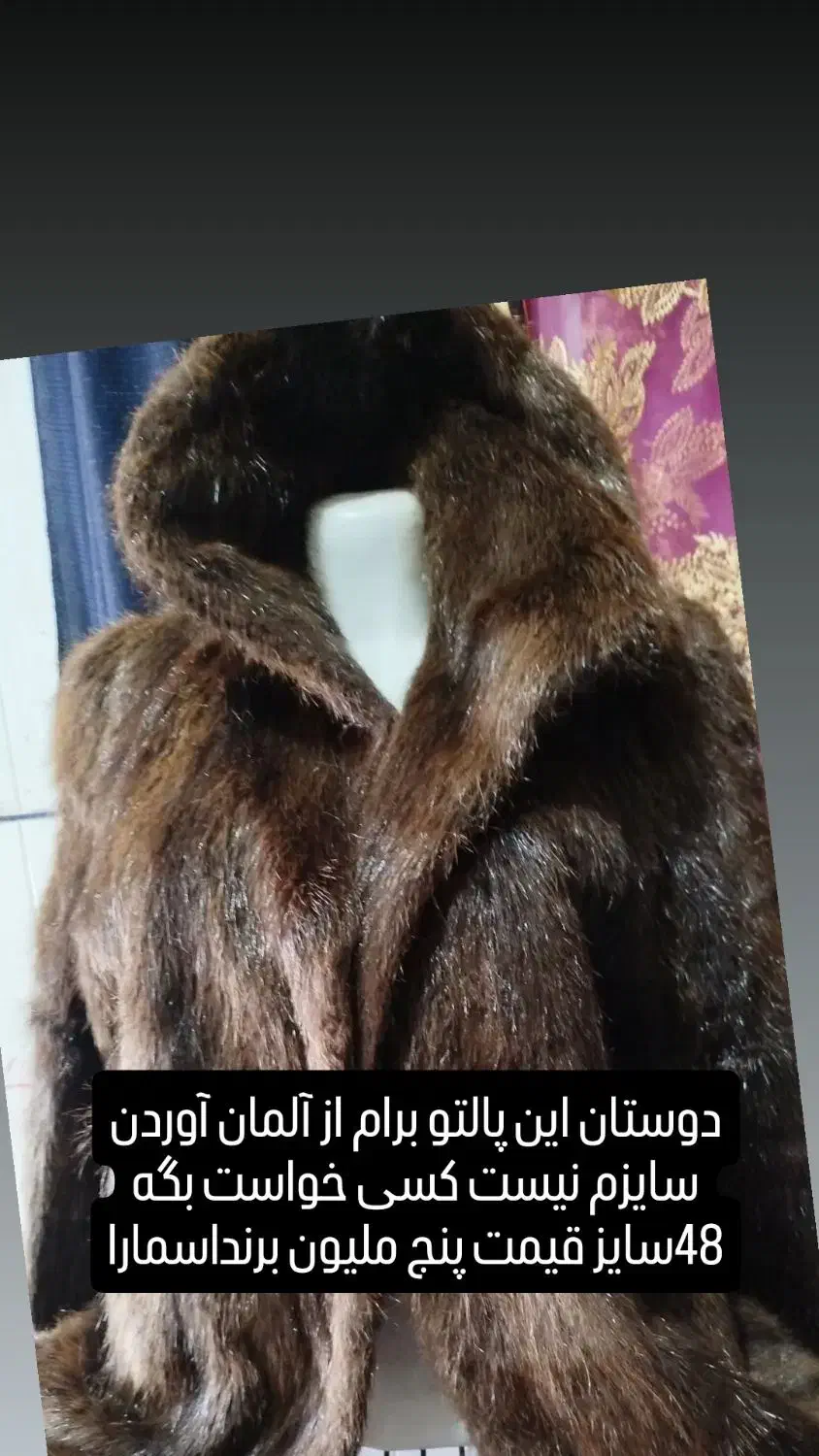 پالتو اسمارابرند|لباس|کنگاور, |دیوار