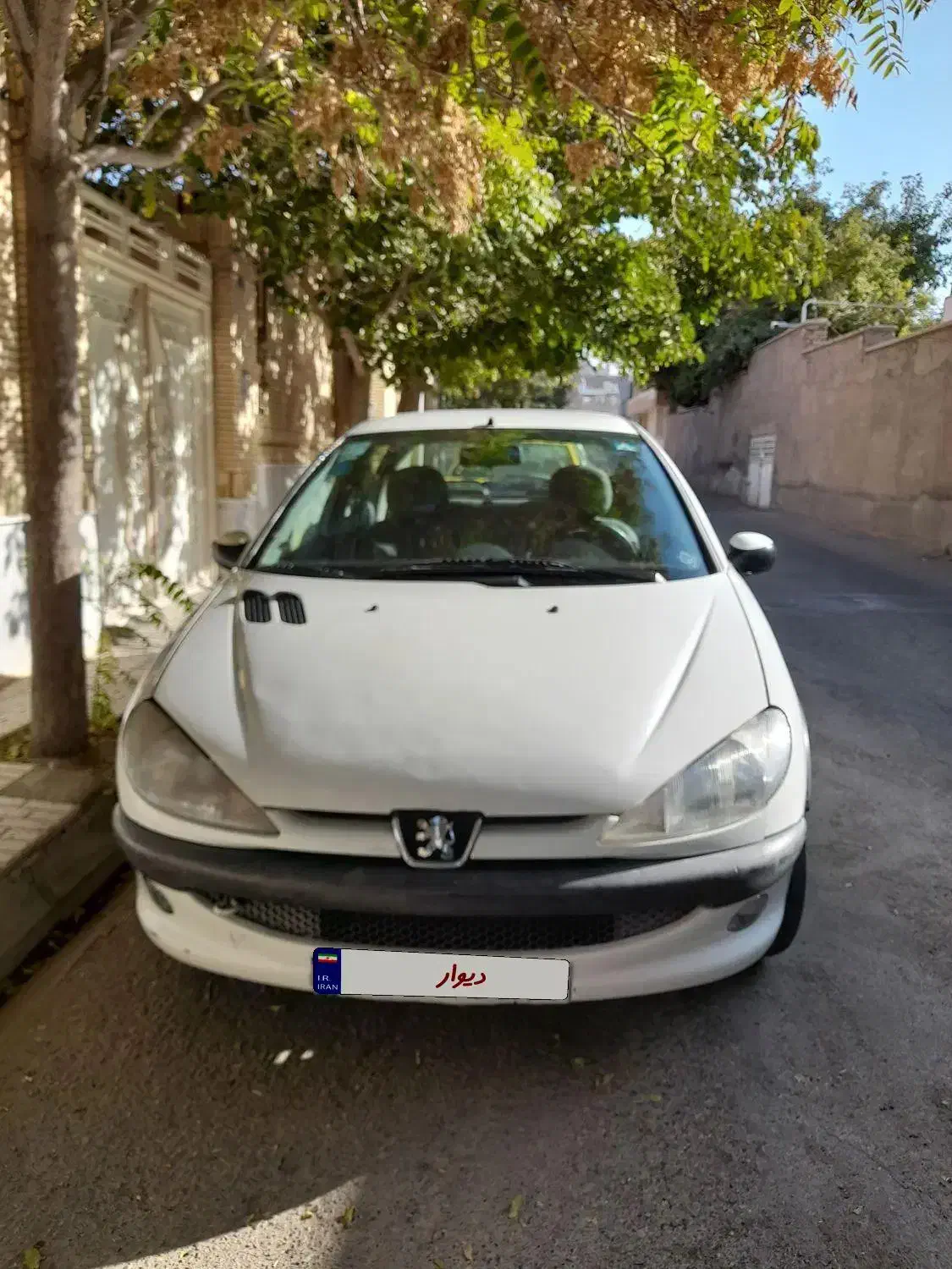 206 اس دی وی ۲۰ مدل ۸۸ بیرنگ پلمپ|خودرو سواری و وانت|تربت‌حیدریه, سیلوی گندم|دیوار