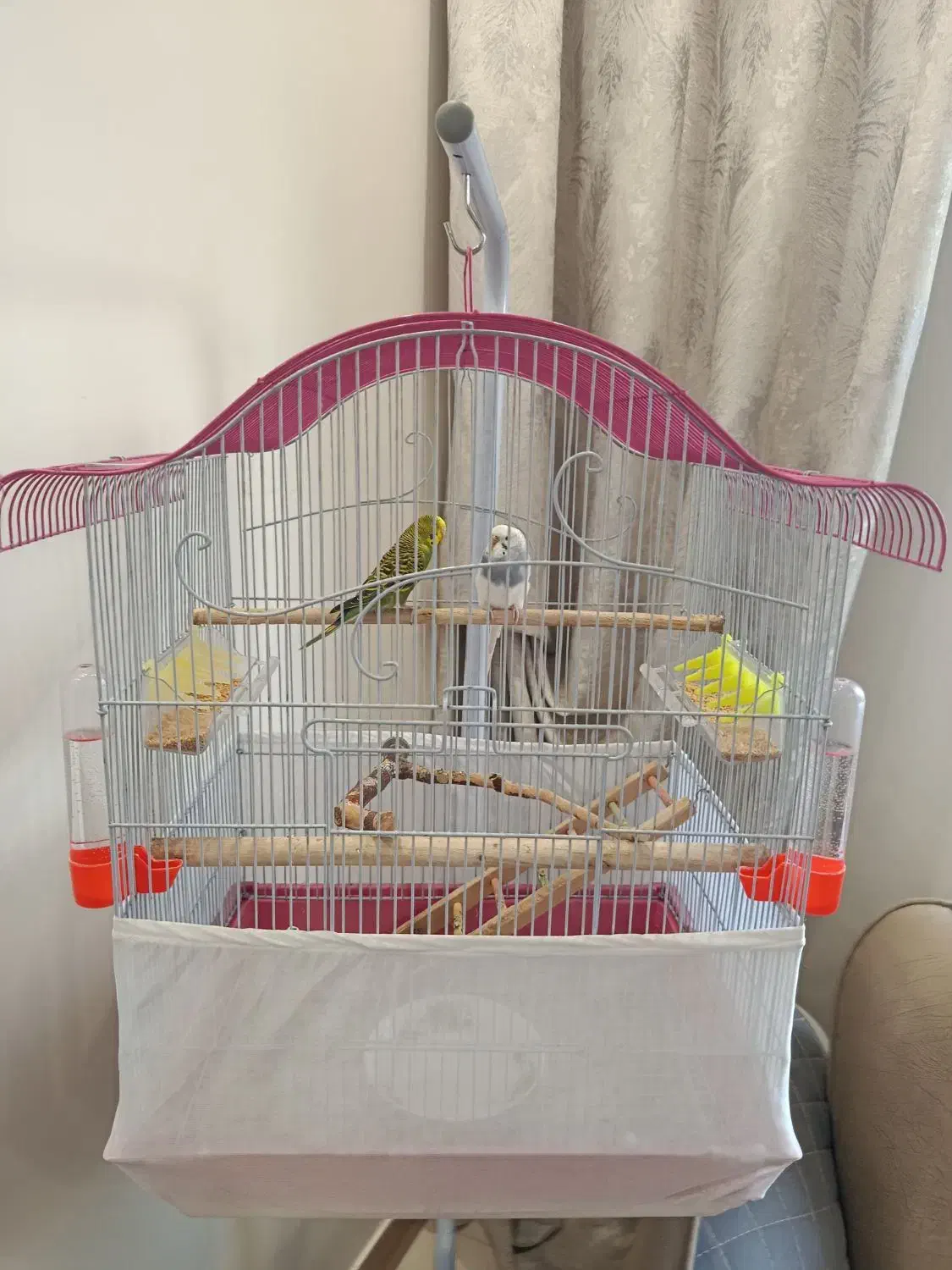 یک جفت مرغ عشق|پرنده|پردیس, فاز ۱۱|دیوار