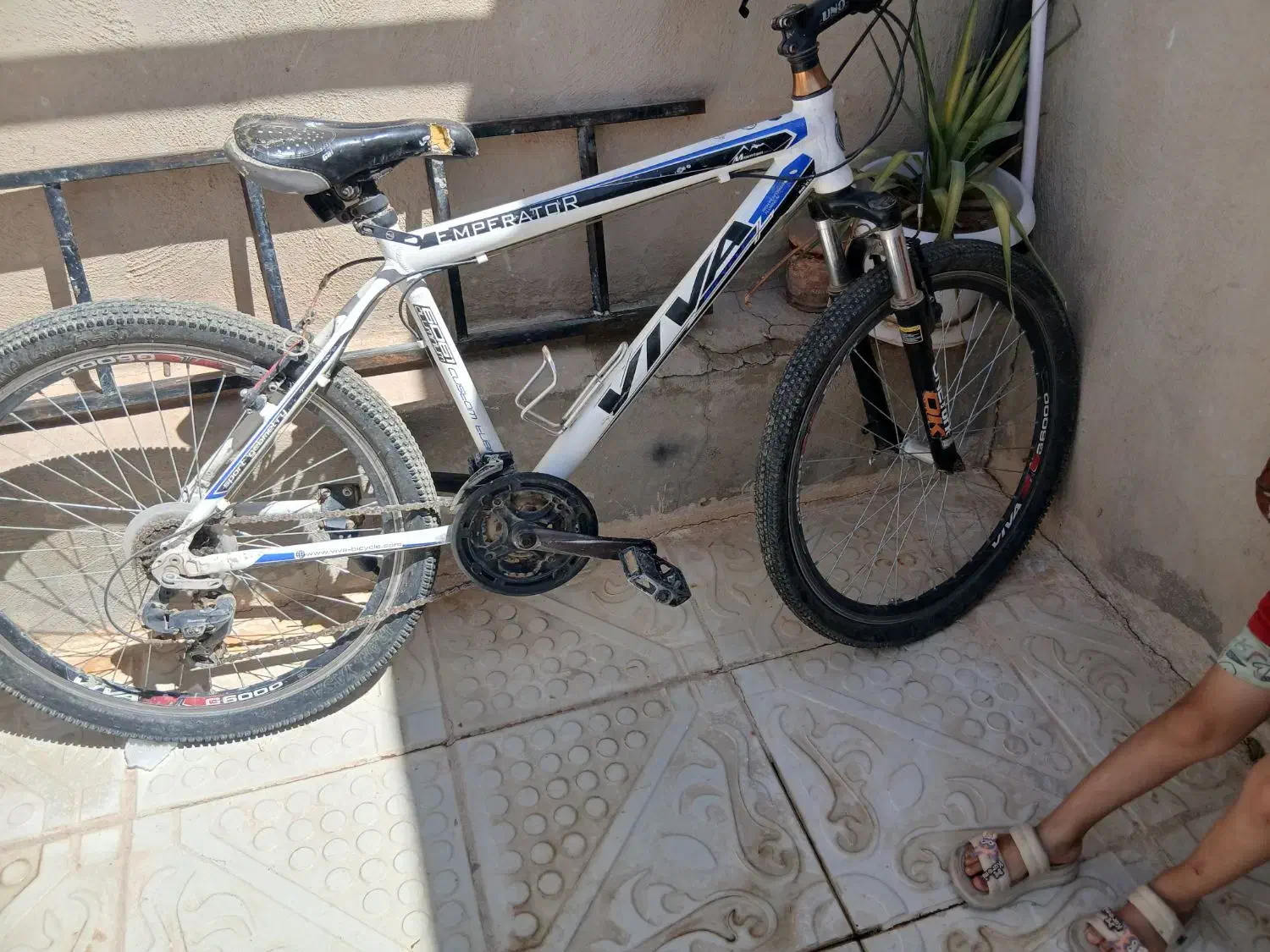 دوچرخه تمام آلمینیومی ویوا اصل|دوچرخه، اسکیت، اسکوتر|دهگلان, |دیوار