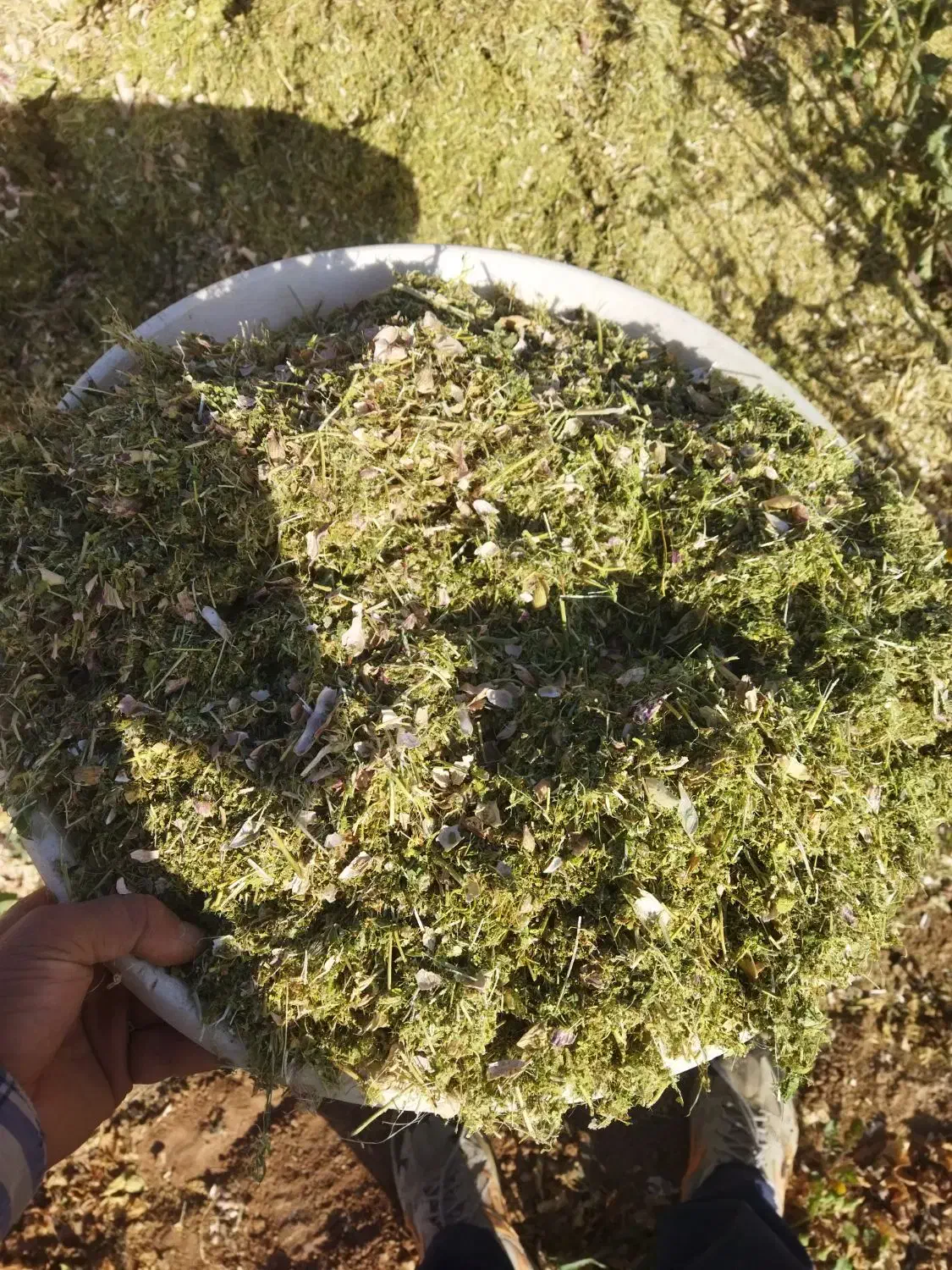 نیازمندکارگر برای پر کردن گونی کاه ۳کیلو|استخدام صنعتی، فنی، مهندسی|سلطانیه, |دیوار