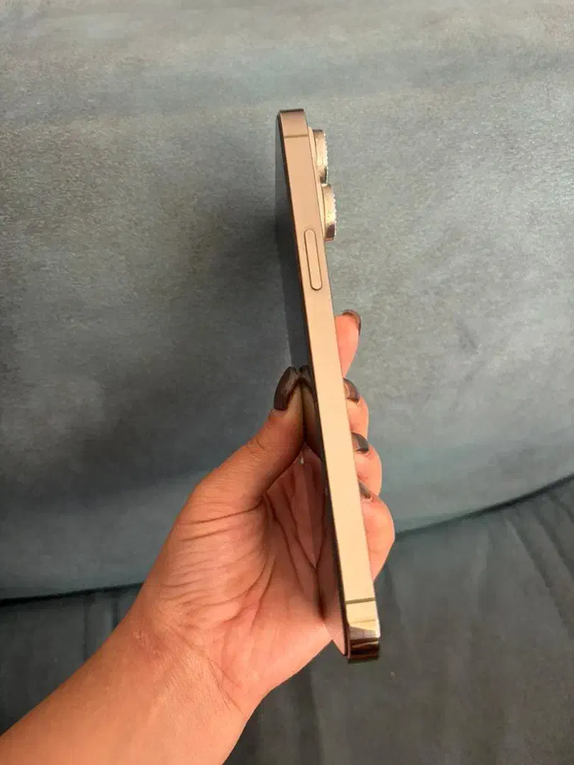 ایفون۱۴ پرومکس ریجستر|موبایل|شیراز, شریف‌آباد|دیوار