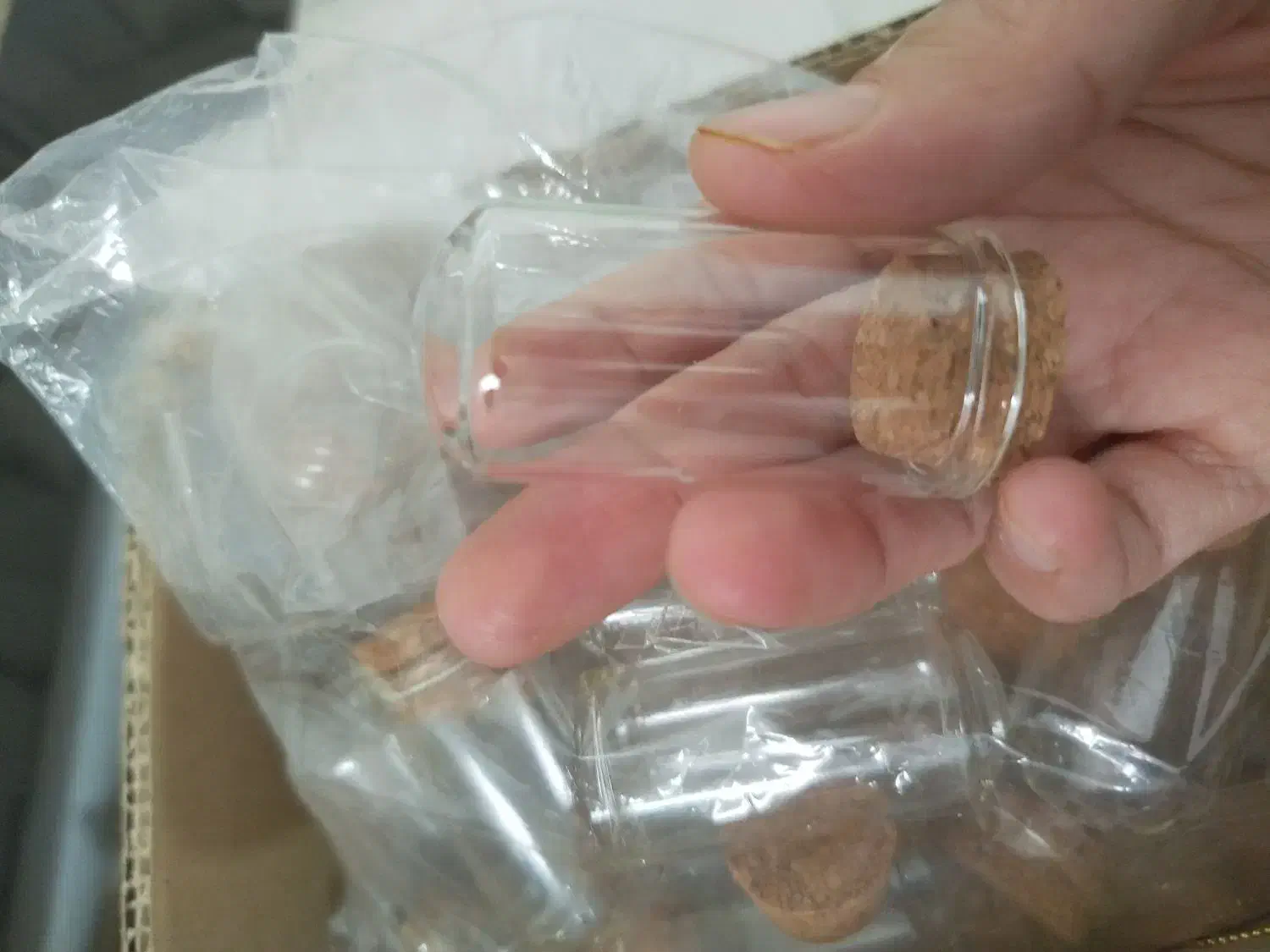 شیشه گیفت دیو و دلبر|صنایع دستی و سایر لوازم تزئینی|شیراز, نصر|دیوار