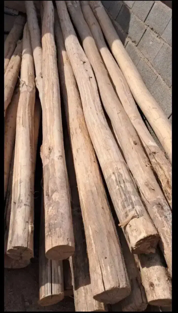 خریدار چوب|خدمات باغبانی و درختکاری|بجنورد, |دیوار