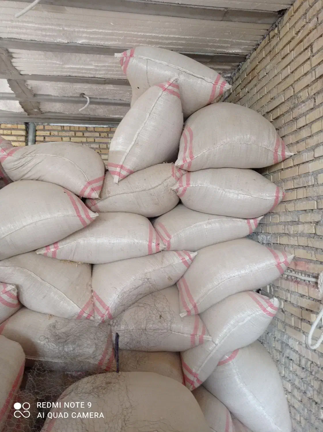 کاه|لوازم جانبی حیوانات|اندیمشک, |دیوار