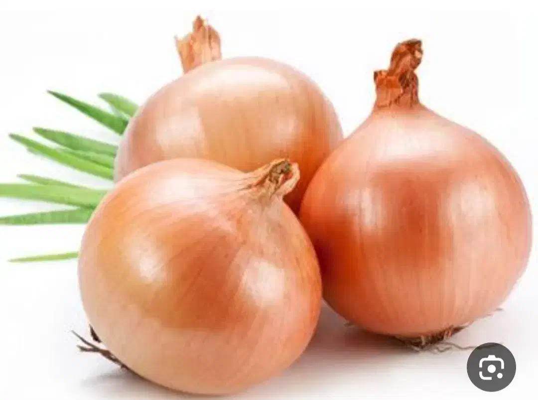 پیاز|خوردنی و آشامیدنی|سبزوار, فیاض|دیوار