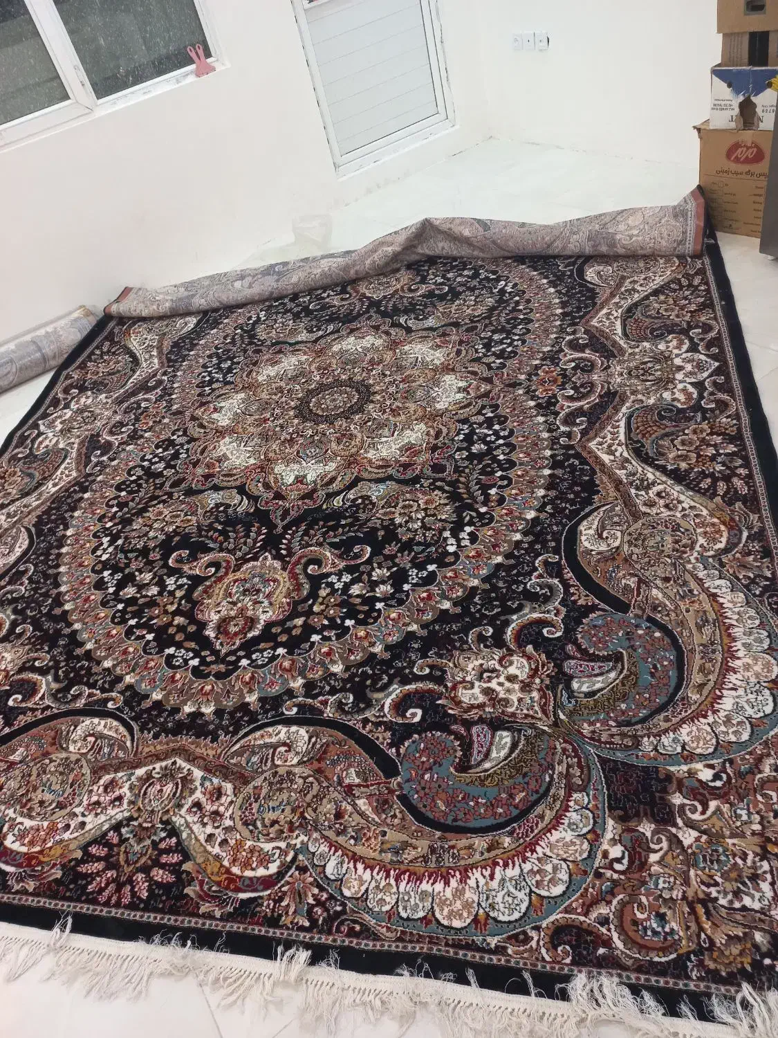 دوعدد فرش ۱۲متری|فرش|بومهن, |دیوار