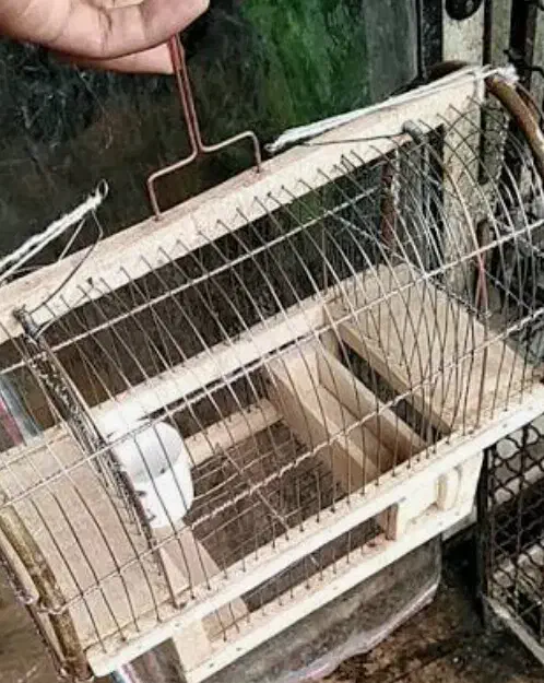 (قفس شکاری نو ۲ عدد)|لوازم جانبی حیوانات|سنندج, |دیوار