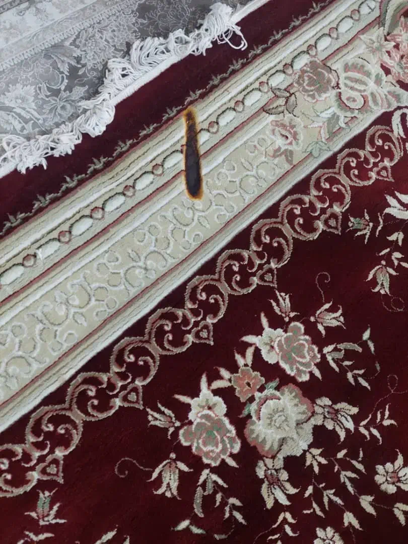 فرش ۱۲ متری|فرش|گلستان (تهران), |دیوار