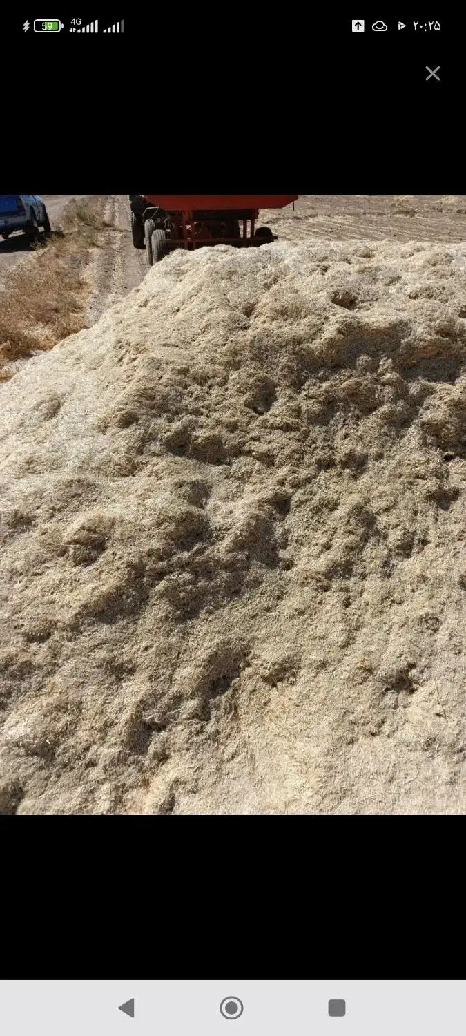 کاه گندم تمیز و درجه 1کیلوی 18500تومان|خدمات باغبانی و درختکاری|چناران, |دیوار