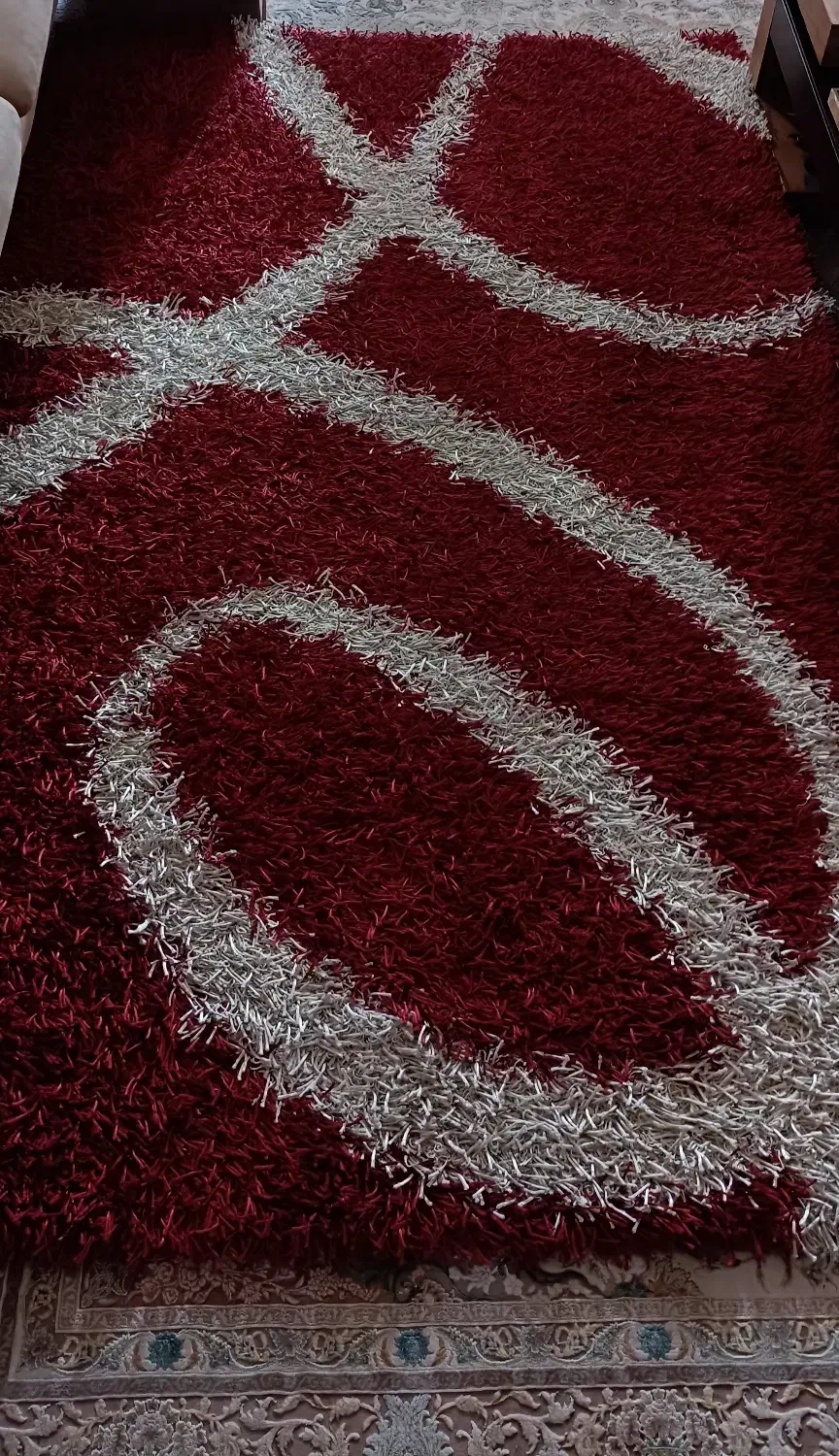 فرش شگی|فرش|رشت, نیکمرام|دیوار