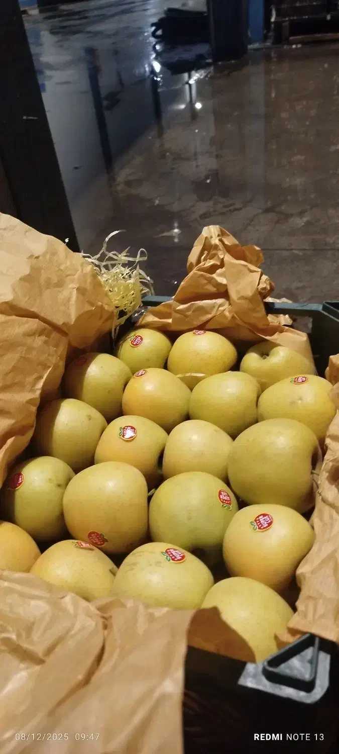 سیب دو ردیف|خوردنی و آشامیدنی|مهاباد (آذربایجان غربی), |دیوار