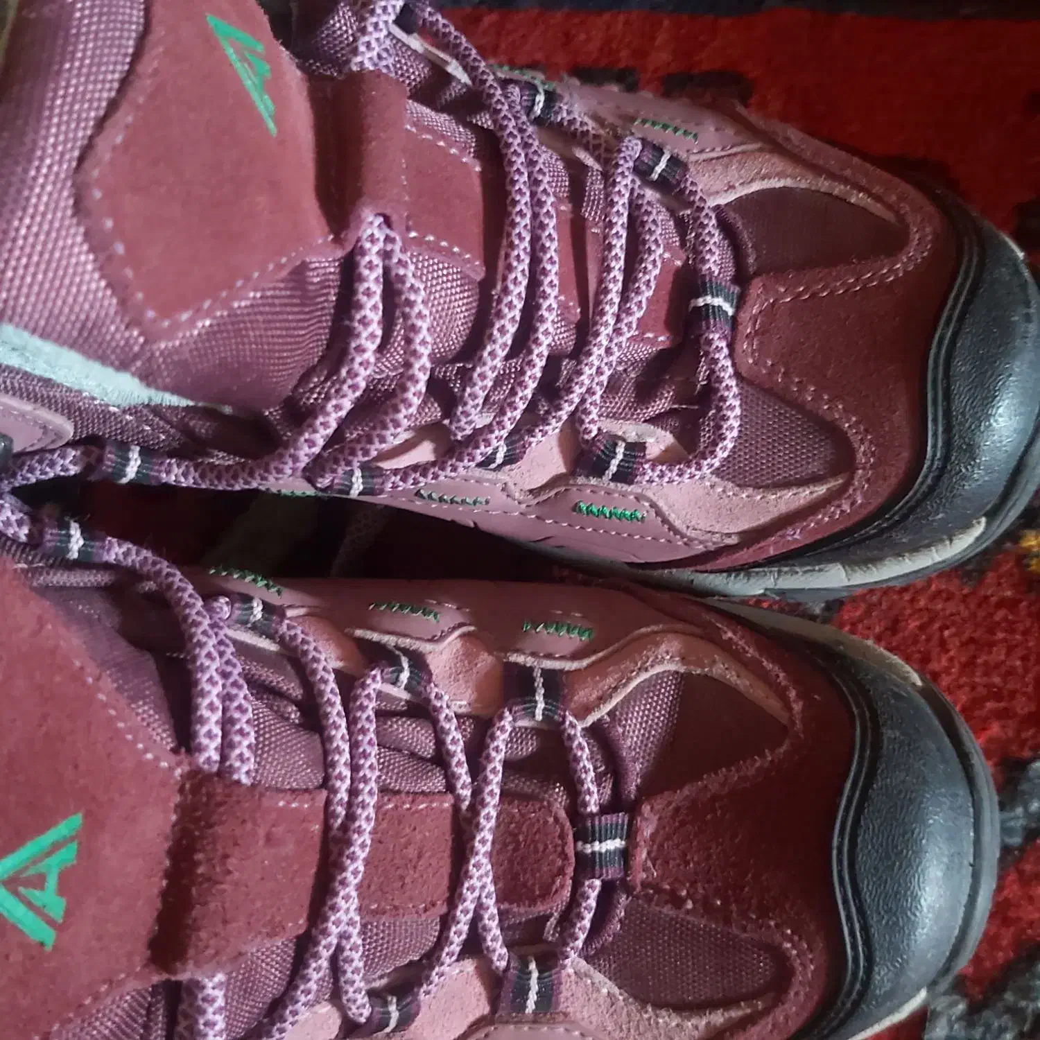 کفش هامتو نو|کیف، کفش، کمربند|اصفهان, خانه اصفهان|دیوار