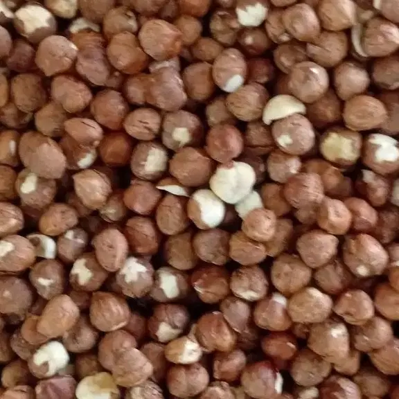 مغز فندق ایرانی درجه یک|خوردنی و آشامیدنی|دیلمان, |دیوار