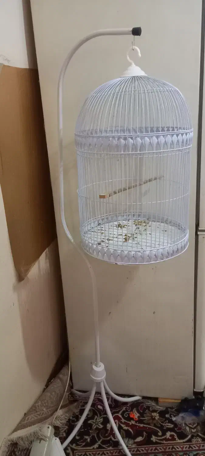 قفس پایه دار نو|لوازم جانبی حیوانات|طرقبه, |دیوار