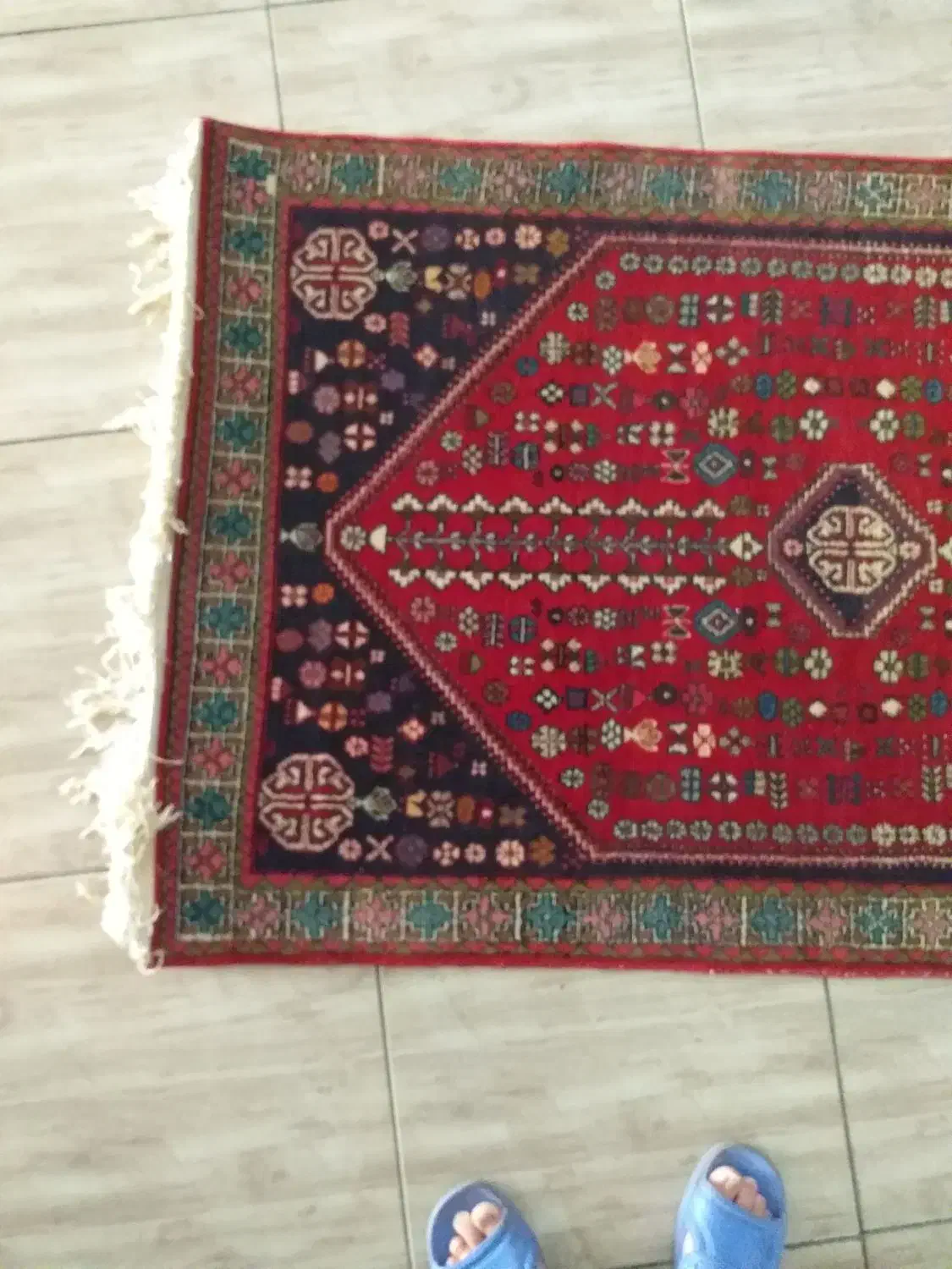 قالیچه دستباف یک ونیم متری|فرش|شیراز, زرهی|دیوار