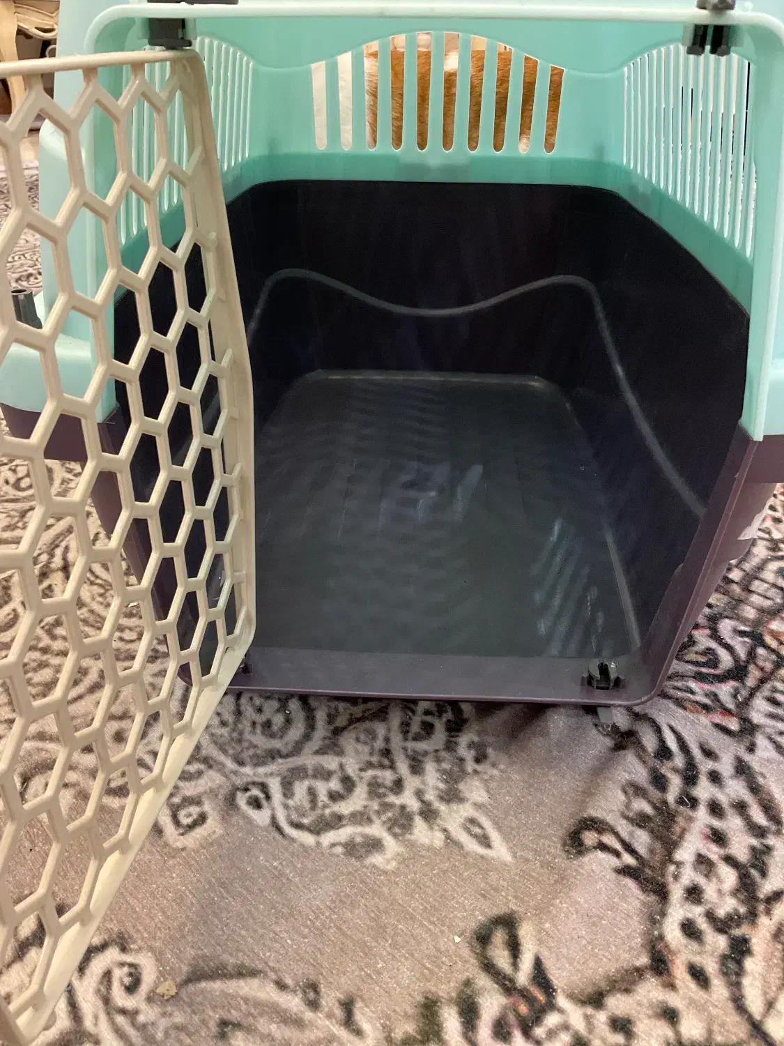 باکس سگ و گربه|لوازم جانبی حیوانات|تهران, دردشت|دیوار