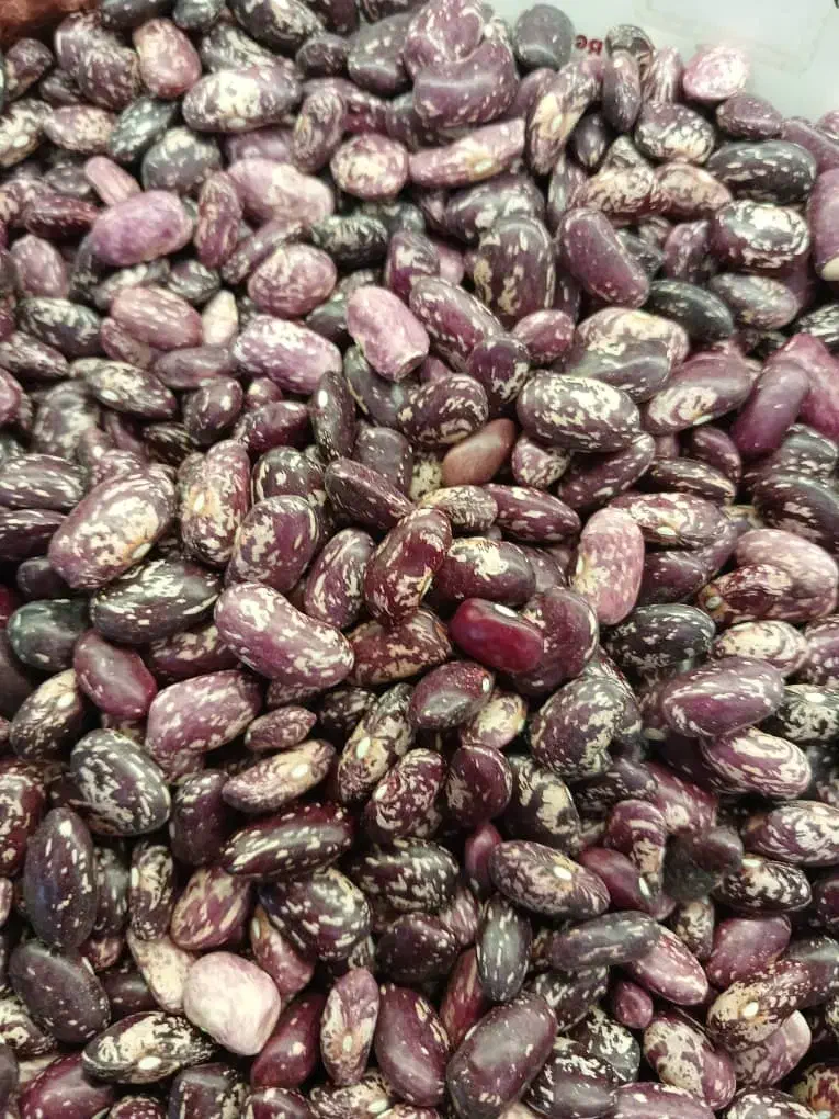 حبوبات درجه یک|عمده‌فروشی|مرودشت, بیست متری بیمارستان|دیوار