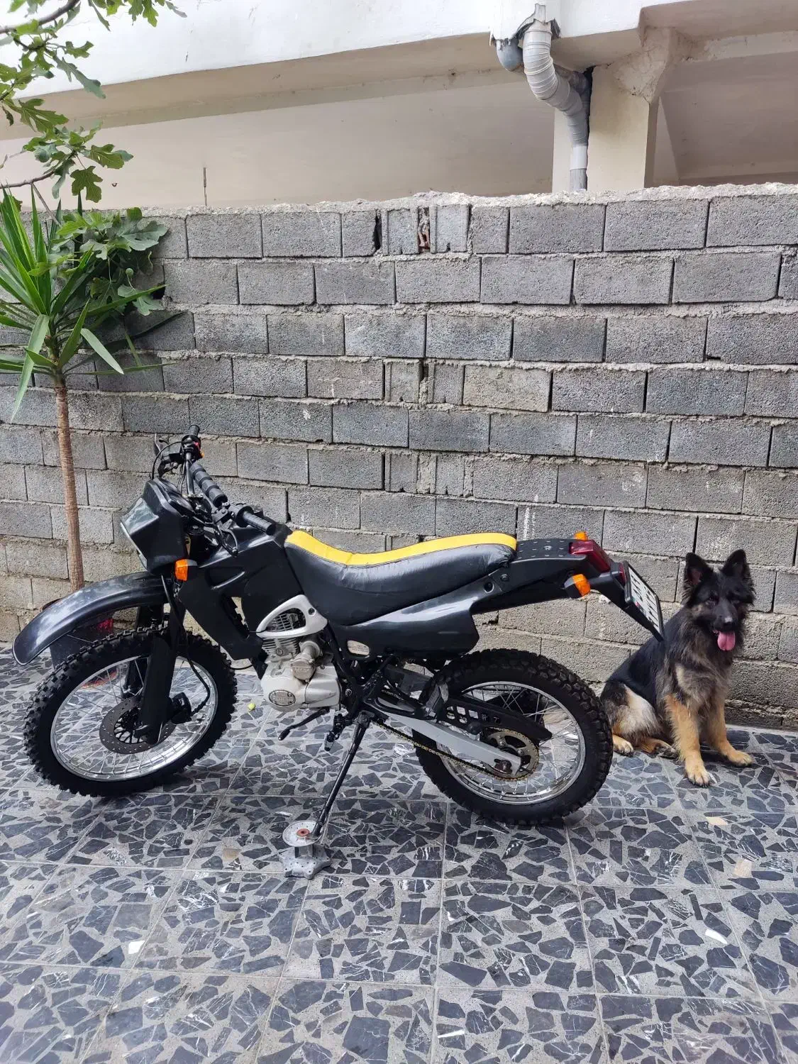 موتور تریل جی وای 200 سی سی|موتورسیکلت|نوشهر, |دیوار