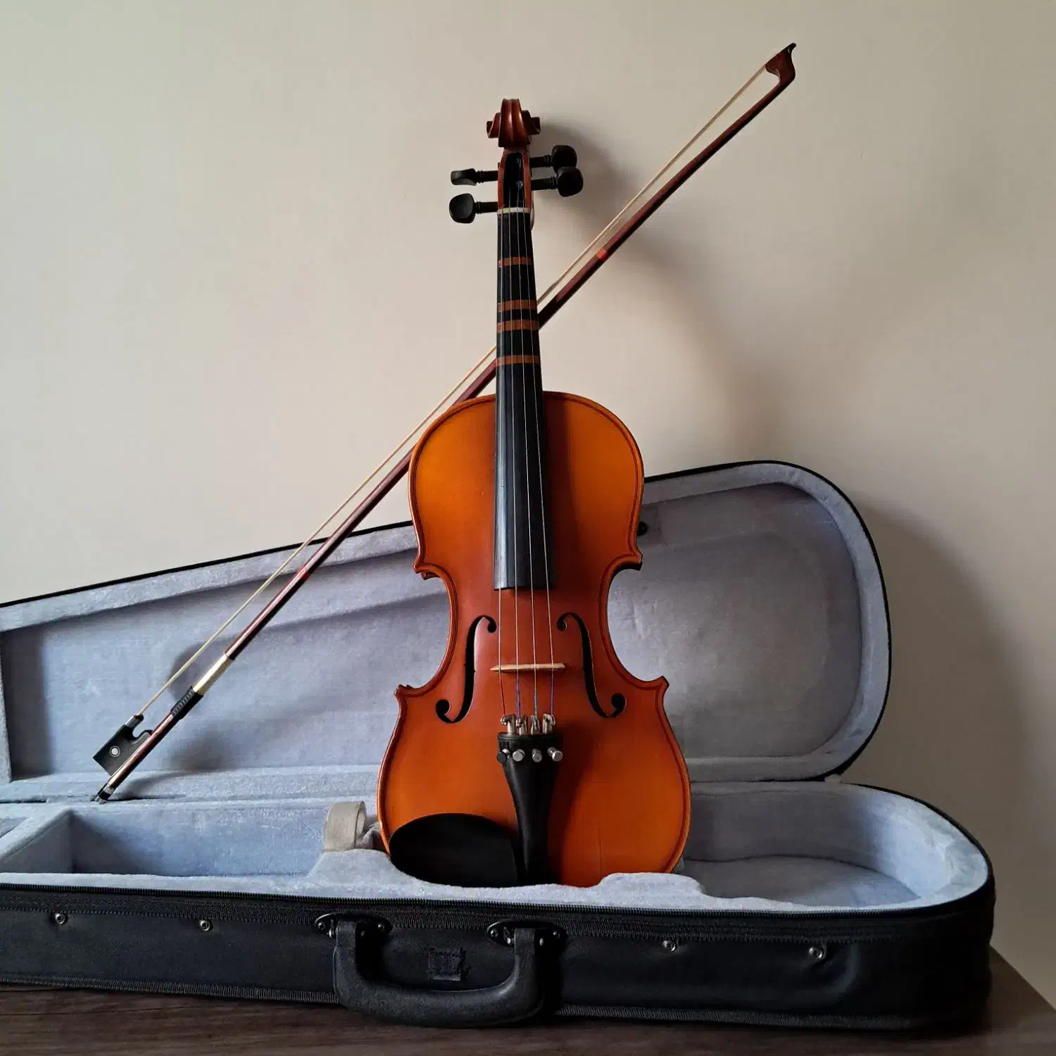 ویولن TF Student|ویولن|تهران, نارمک جنوبی|دیوار