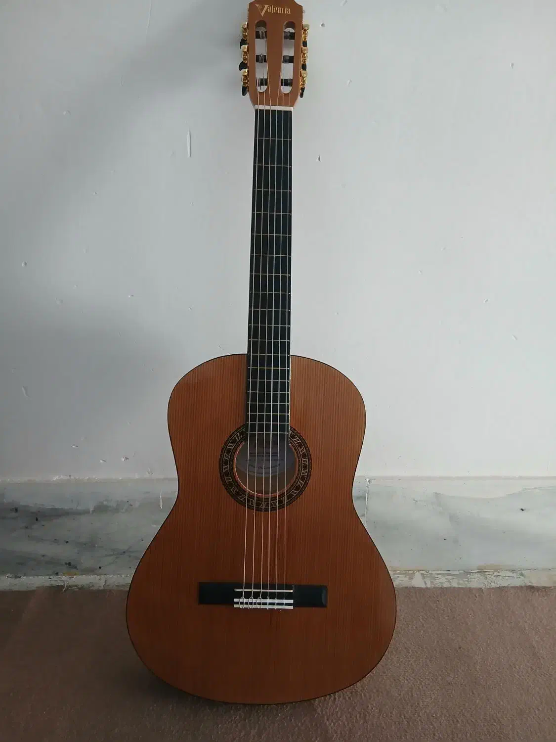 گیتار والنسیا|گیتار، بیس، امپلیفایر|کرج, محمد آباد|دیوار