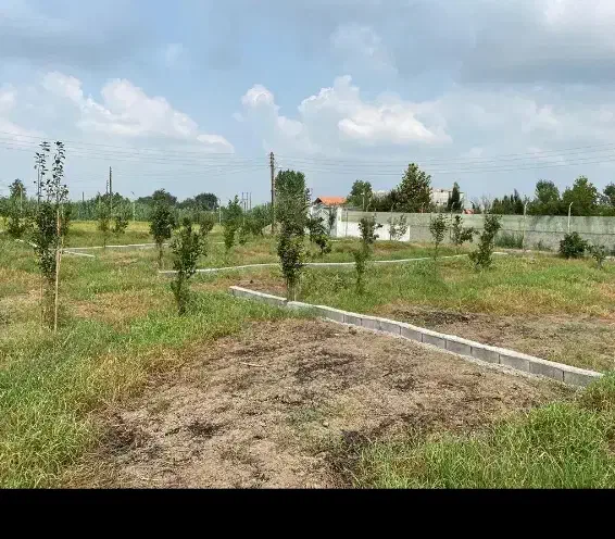 فروش یک پلاک شهرکی/محصور شده با انشعابات|فروش زمین و ملک کلنگی|دابودشت, |دیوار