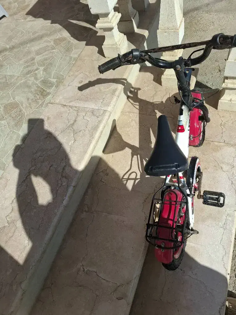 فروش دوچرخه|دوچرخه، اسکیت، اسکوتر|گنبد کاووس, |دیوار