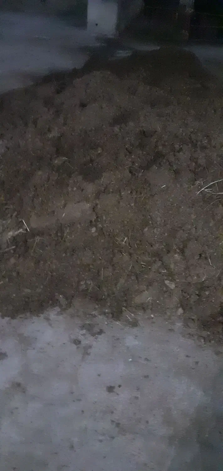 کودحیوانی|عمدهفروشی|سلماس, |دیوار