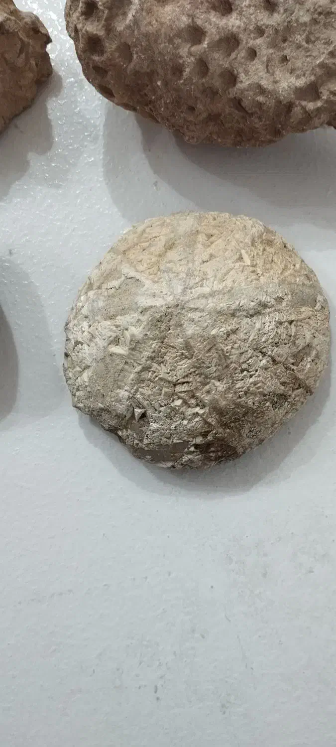 فروش سنگ فسیل|کلکسیون اشیاء عتیقه|تکاب, |دیوار