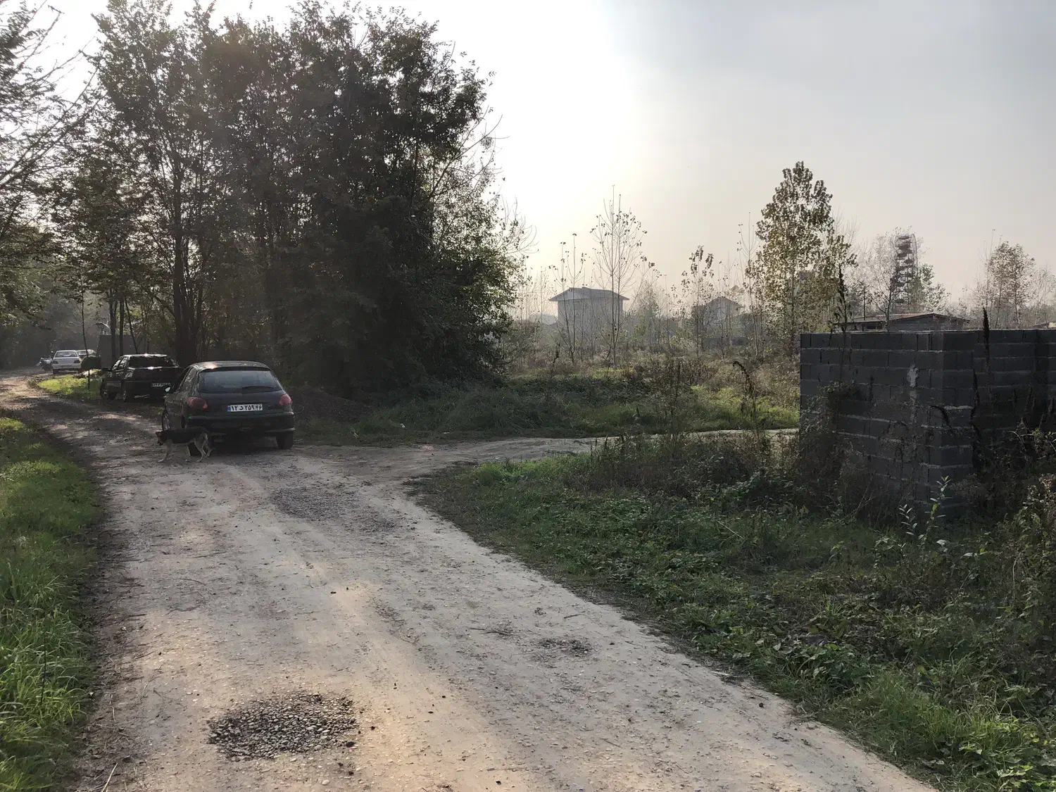 فروش زمین مسکونی معتبر(جنب هتل دارایی)متراژ دلخواه|فروش زمین و ملک کلنگی|رشت, شکار اسطلخ|دیوار