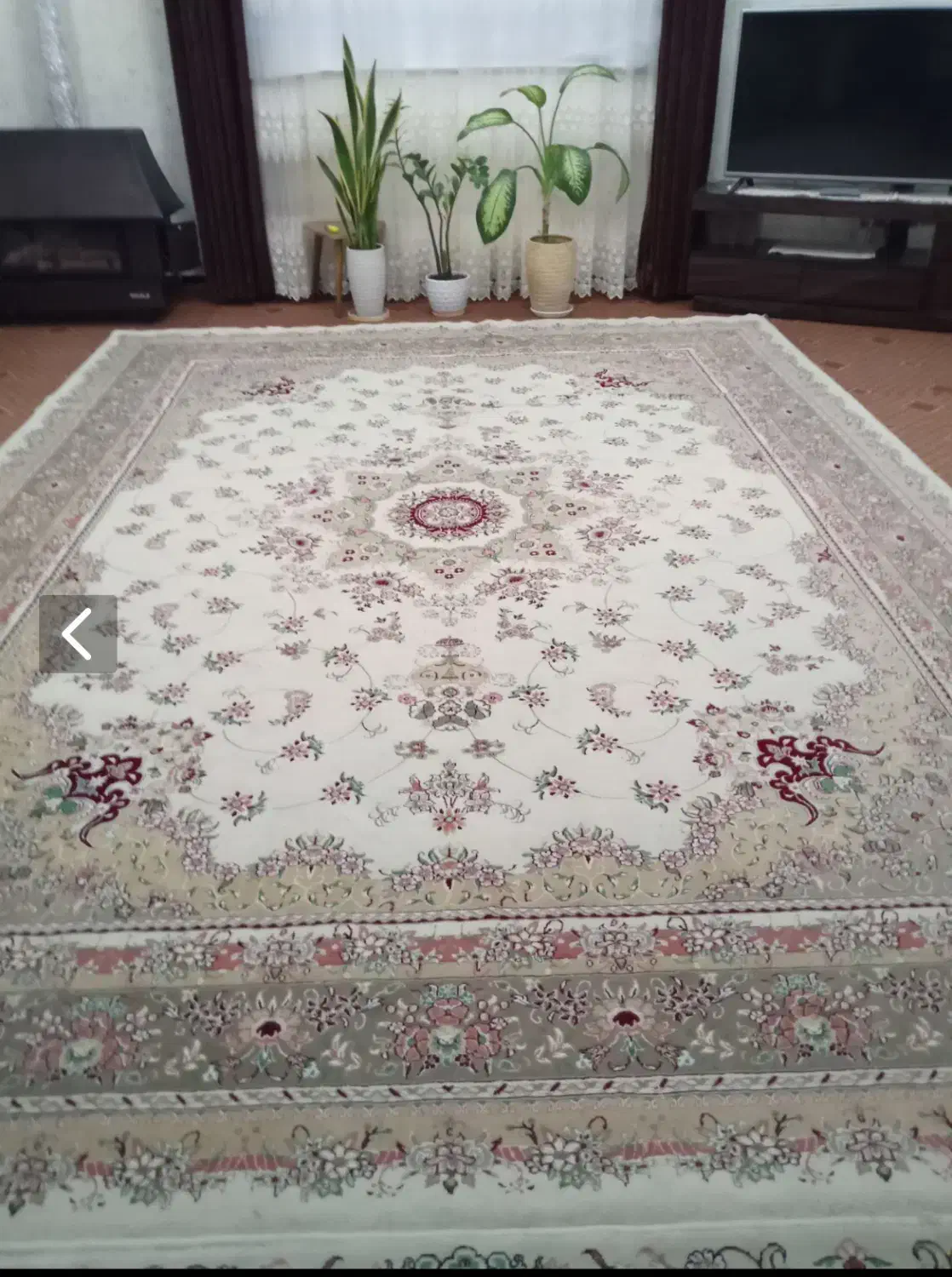 فرش ۱۲ متری|فرش|رودسر, |دیوار