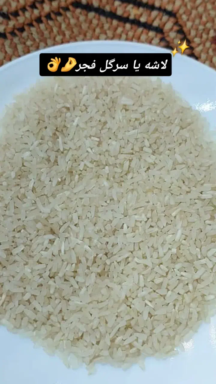 لاشه یا سرگل فجر مینودشت|عمده‌فروشی|گنبد کاووس, |دیوار