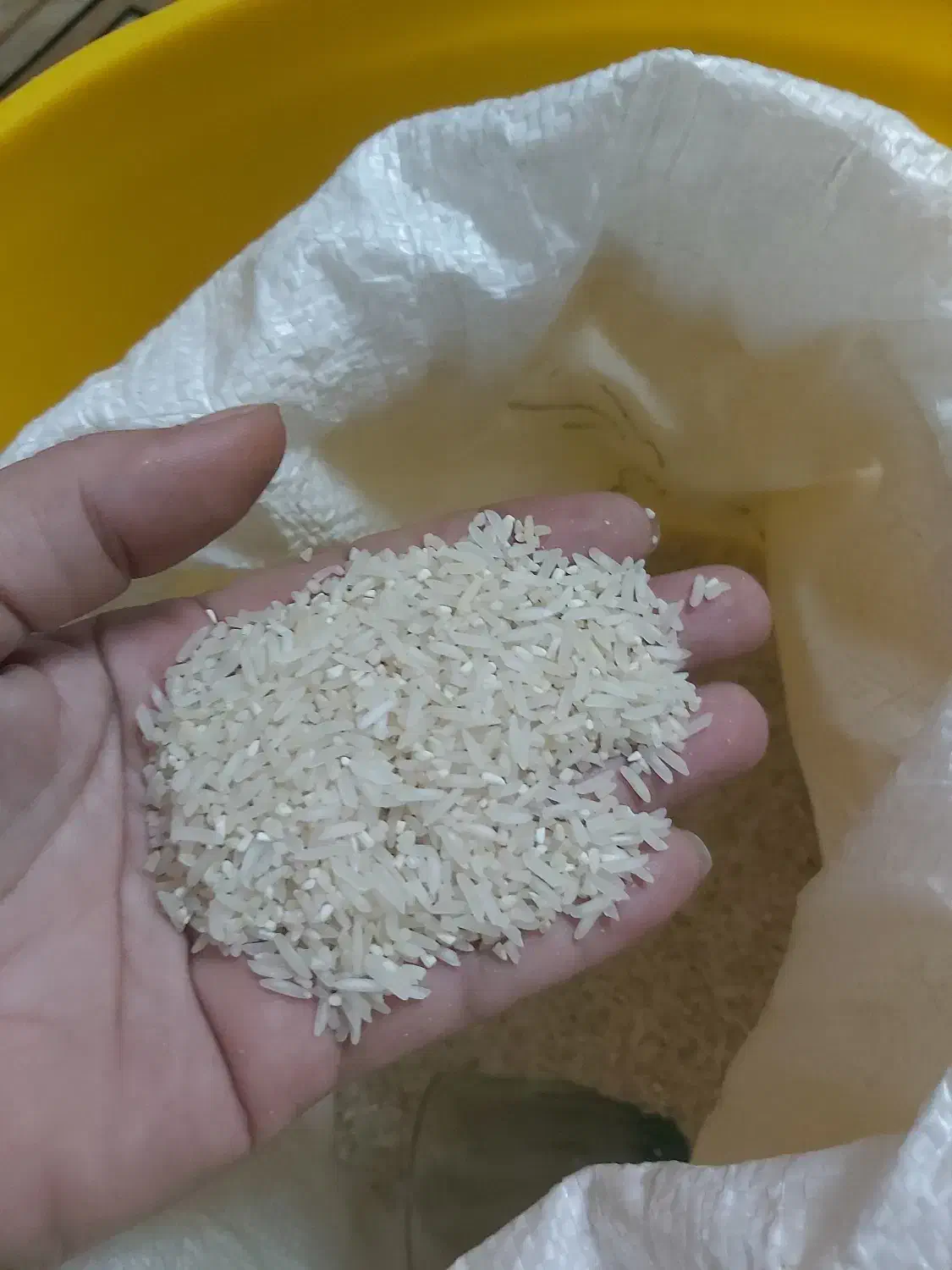 ایرانی(برنج)|خوردنی و آشامیدنی|مشکین‌دشت, |دیوار