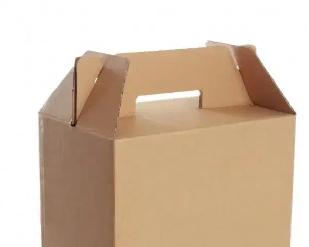 کارتن بسته بندی دسته دار|عمدهفروشی|اصفهان, جلالیه|دیوار