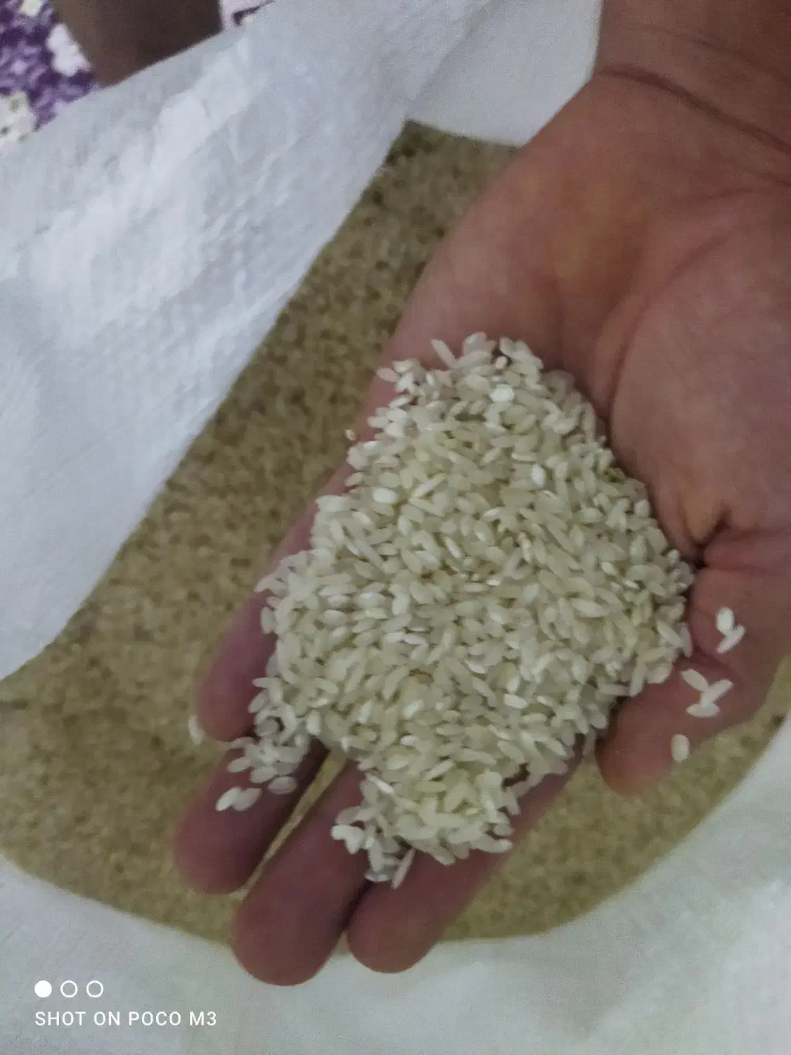 برنج جلب هاشمی|خوردنی و آشامیدنی|پارسآباد, |دیوار